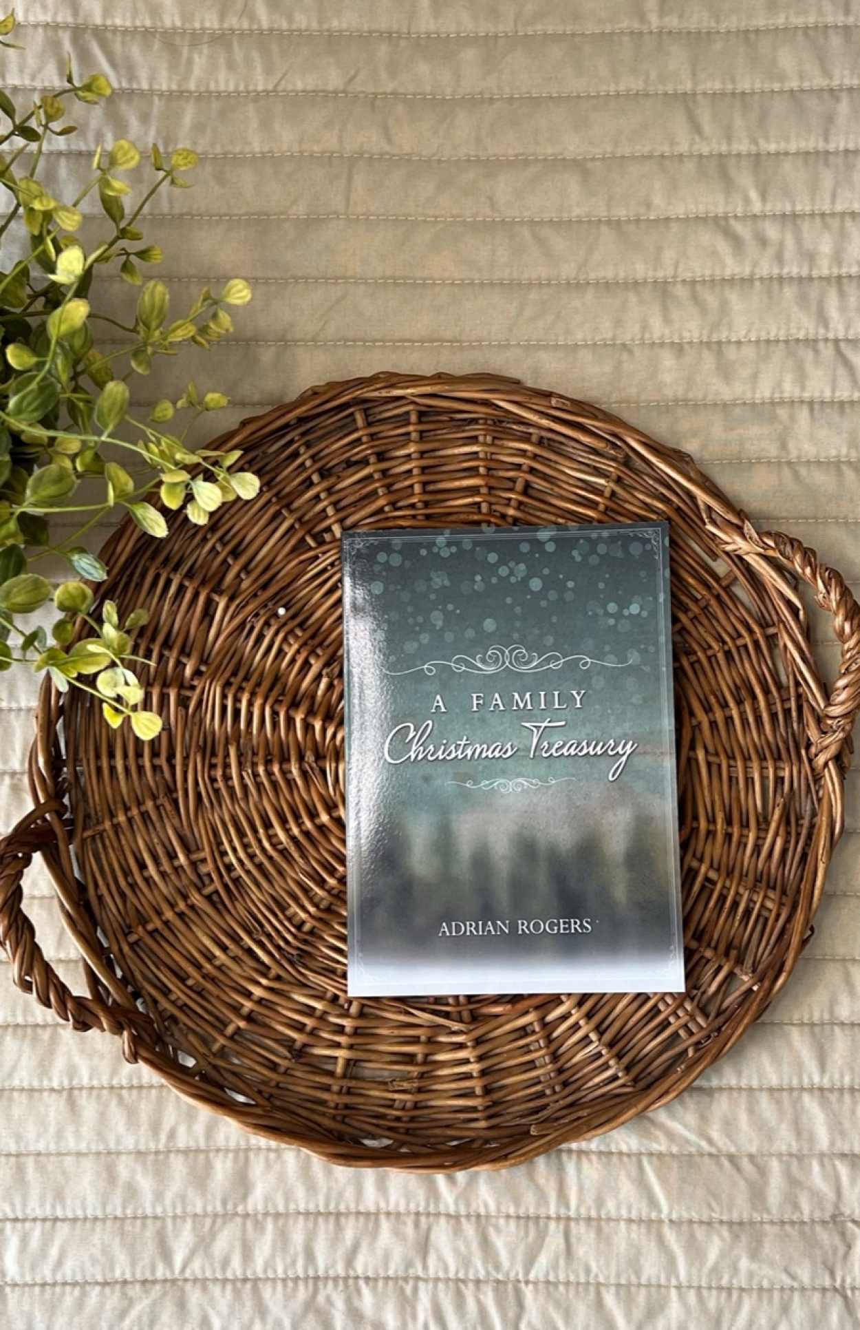B106 a family christmas treasury book FLAT LAY