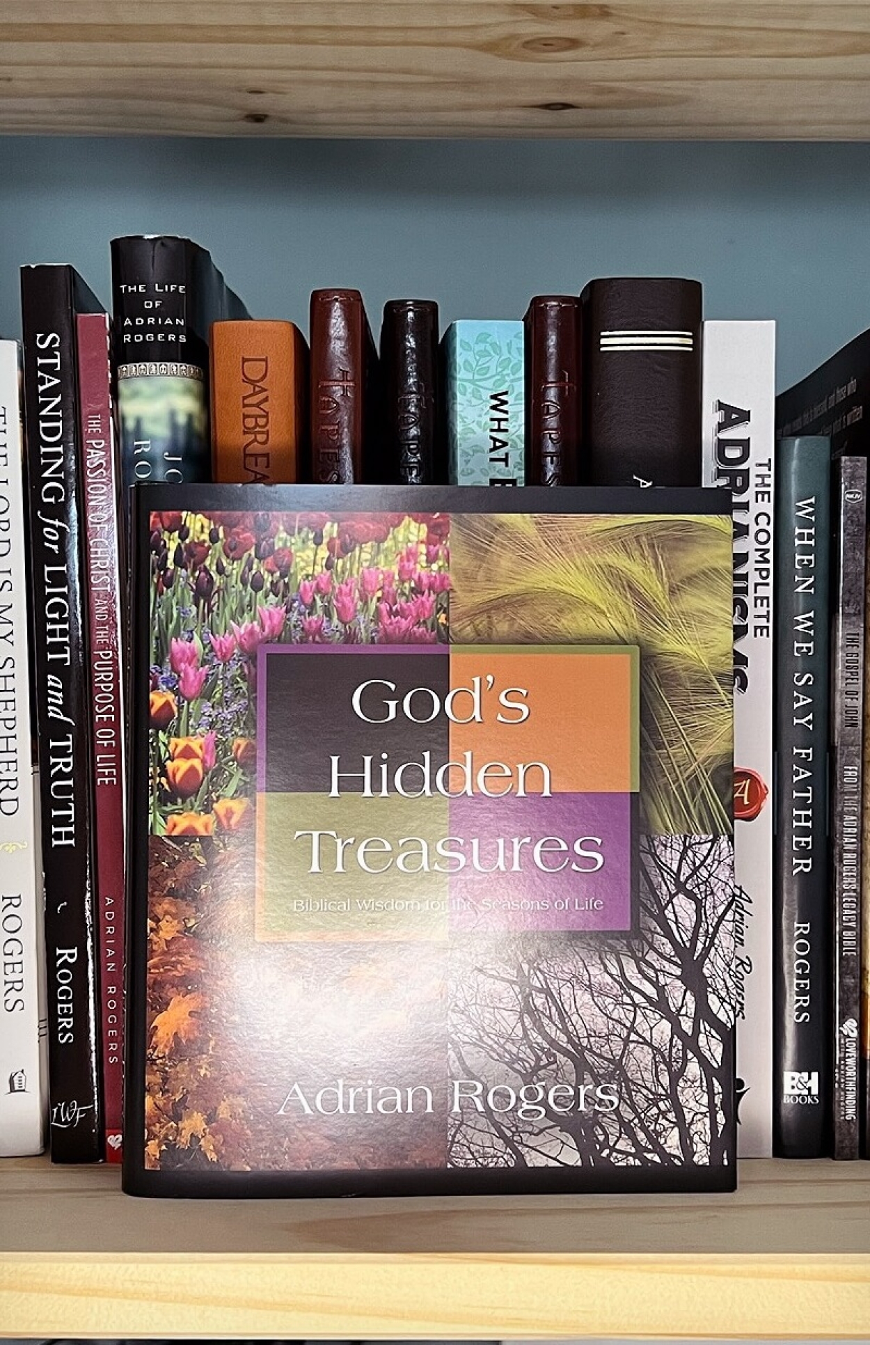 B108 gods hidden treasures book BOOKSHELF